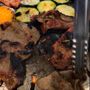 Photo of Master Kim's Korean BBQ