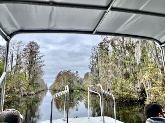 Okefenokee Adventures by null