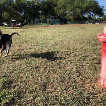 Ford Island Dog Park - She has the whole park to herself! - Dog Parks Near Me - Honolulu, Hawaii