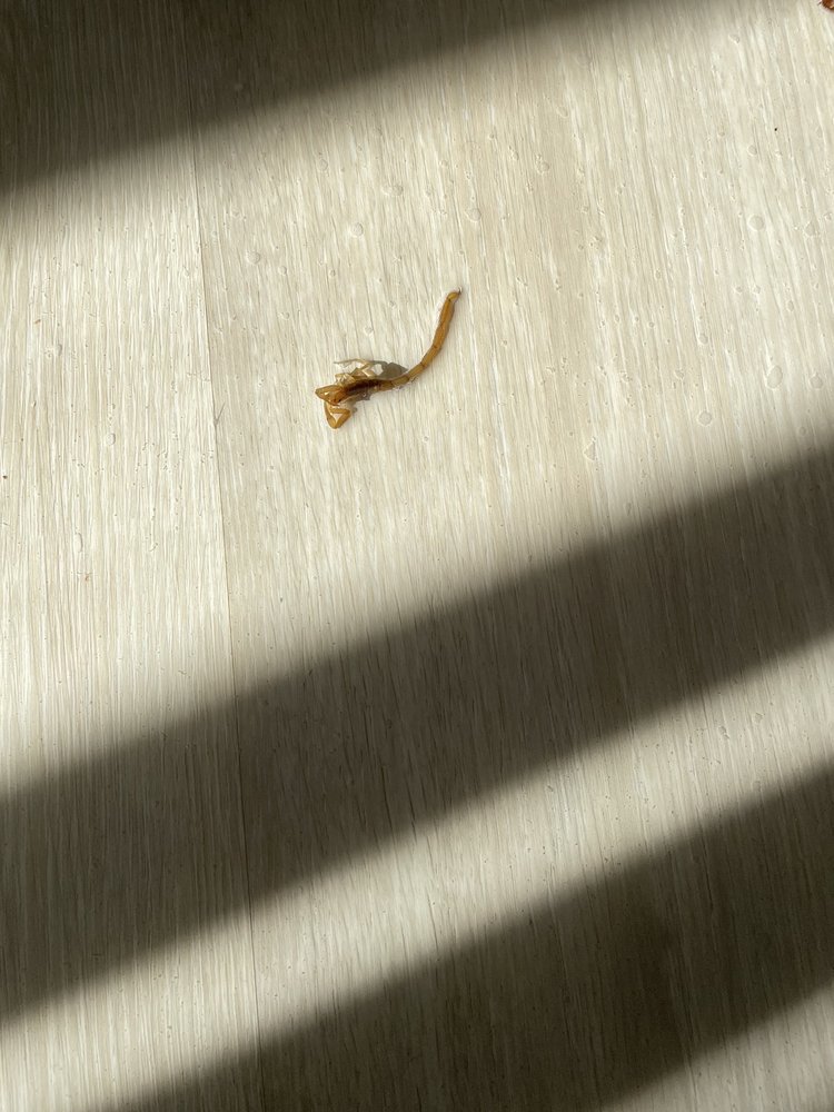 MIRABELLA APARTMENTS Updated October 2024 30 Photos & 16 Reviews