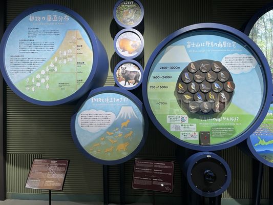 Fujisan World Heritage Center by null