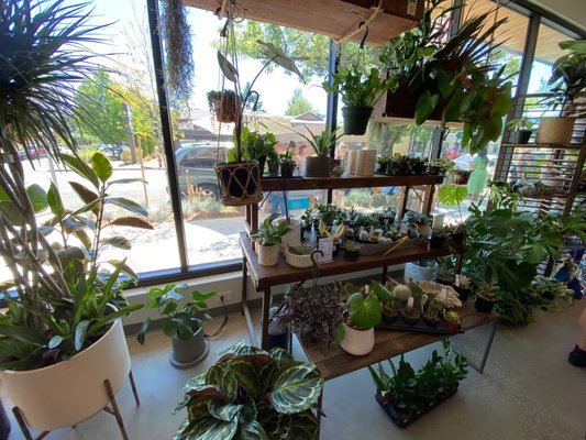 Botanical Bakeshop by null