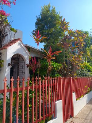 DREAMCATCHER by DW - Adults Only by null