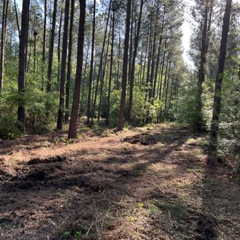 Lowe Forestry Mulching - Hunting lanes - Excavation Services Near Me Lowe Forestry Mulching - Hunting lanes - Excavation Services Near Me