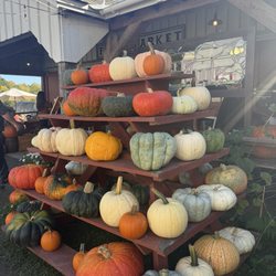 Scott Farm