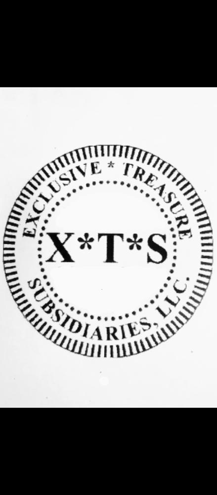 Slide of X*T*S - Exclusive Treasure Subsidiaries