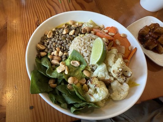 Blossoming Lotus by null