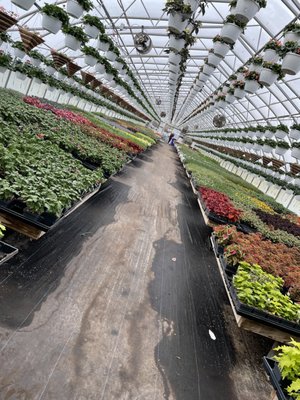 Frank's Produce & Greenhouse by null