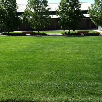 Moon Valley Landscape - Keeping your grass green - Landscaping Near Me Moon Valley Landscape - Keeping your grass green - Landscaping Near Me