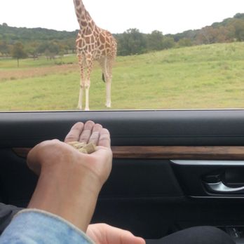 Fossil Rim Wildlife Center - Zoos Near Me - Glen Rose, Texas Fossil Rim Wildlife Center - Zoos Near Me - Glen Rose, Texas