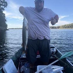 Fellows Lake Marina - Medium Pike caught at Fellows Lake