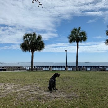 Waterfront Park - Parks Near Me - Charleston, South Carolina Waterfront Park - Parks Near Me - Charleston, South Carolina