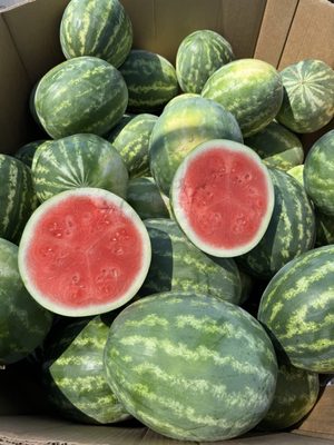 Del Bosque Farms by null