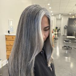 FM Hair Studio - Gray blending by Amy G!