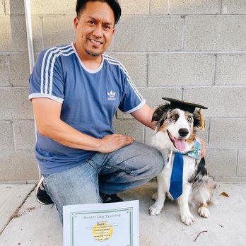Master Dog Training - Pet Training Near Me - Temple City, California