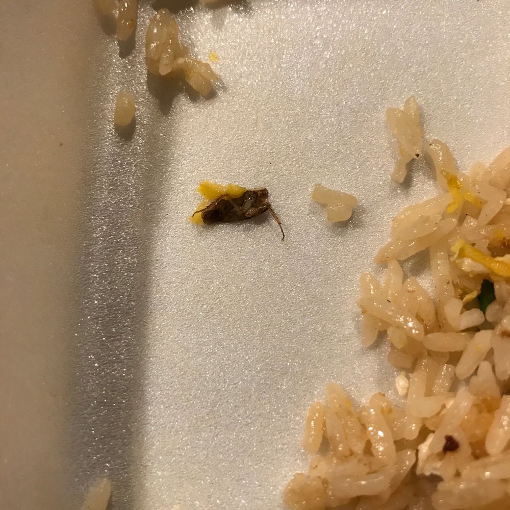 Mint Thai Kitchen - Can't believe that we ate this! Dirty food and place! - Thai Near Me - Houston, Texas Mint Thai Kitchen - Can't believe that we ate this! Dirty food and place! - Thai Near Me - Houston, Texas