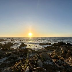 17-Mile Drive Scenic Tour - 8.12.2024