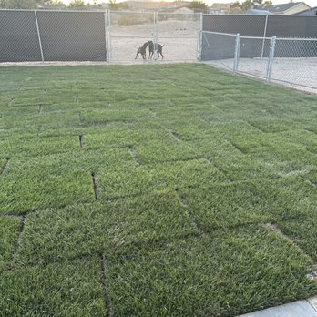 Silverado Landscape - Landscaping Near Me Silverado Landscape - Landscaping Near Me