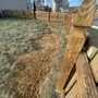 Photo of Brilliant Mind Landscaping