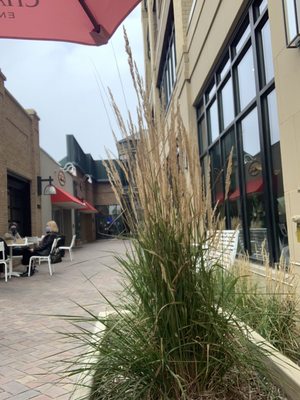 The Lynhall No. 3945 Edina by null