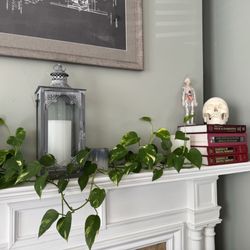 Be Well Chiropractic + Health - Interior
