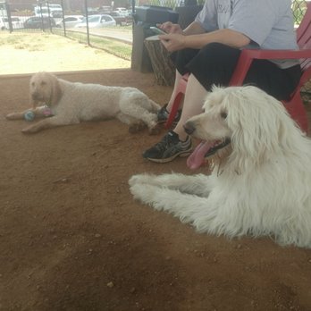 Midtown Mutts Dog Park - Worn out!!! - Dog Parks Near Me - Oklahoma City, Oklahoma