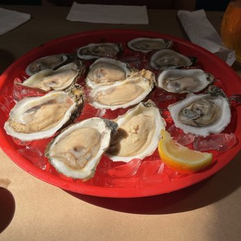 High Tide Harry's - Happy hour Oysters - Seafood Near Me - Orlando, Florida High Tide Harry's - Happy hour Oysters - Seafood Near Me - Orlando, Florida