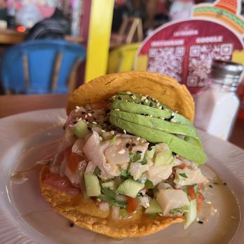La Taquiza - Fish ceviche - Tacos Near Me - Cabo San Lucas, BCS La Taquiza - Fish ceviche - Tacos Near Me - Cabo San Lucas, BCS