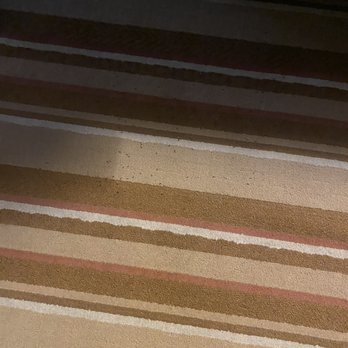 Ramada - Those black dots are ANTs that where all over the floor in my room. - Hotels Near Me - Golden Valley, Minnesota Ramada - Those black dots are ANTs that where all over the floor in my room. - Hotels Near Me - Golden Valley, Minnesota