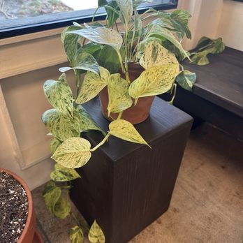 Dawa Coffee - Inside - Coffee & Tea Near Me - Santa Fe Springs, California