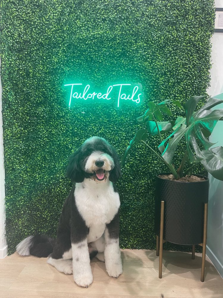 TAILORED TAILS GROOMING 25 Photos & 14 Reviews 969 Edgewater Blvd