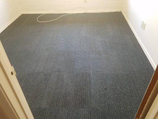 Best Carpet Cleaners in Arizona - Regal Carpet and Steamy Concepts has served more than 50,000 Arizona homes for carpet cleaning over the last 18 years as a 24/7 BBB A+ rated locally owned and operated family business. Voted 2016 Best Carpet Cleaning Company by AZ Daily Star Readers. We offer the safest and most thorough cleaning for carpet, tile, upholstery and more. Using Green Seal Certified® cleaning products. Call us today to use our new app and Loyalty Card toward a free cleaning. Best Carpet Cleaners in Arizona - Regal Carpet and Steamy Concepts has served more than 50,000 Arizona homes for carpet cleaning over the last 18 years as a 24/7 BBB A+ rated locally owned and operated family business. Voted 2016 Best Carpet Cleaning Company by AZ Daily Star Readers. We offer the safest and most thorough cleaning for carpet, tile, upholstery and more. Using Green Seal Certified® cleaning products. Call us today to use our new app and Loyalty Card toward a free cleaning.