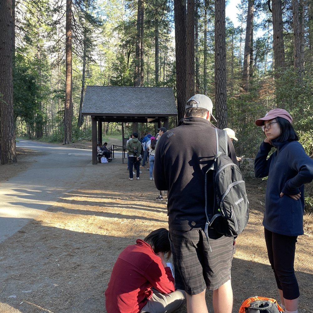 Yosemite Valley Shuttle - Waiting for shuttle - Transportation Near Me - Yosemite, California Yosemite Valley Shuttle - Waiting for shuttle - Transportation Near Me - Yosemite, California