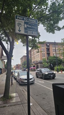 Northern Taste by null