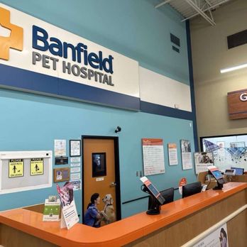 Dog Petsmart With Banfield Hospital Top Banfield Pet Hospital