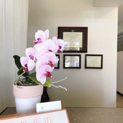 Rapha Acupuncture and Herbs - Front desk.