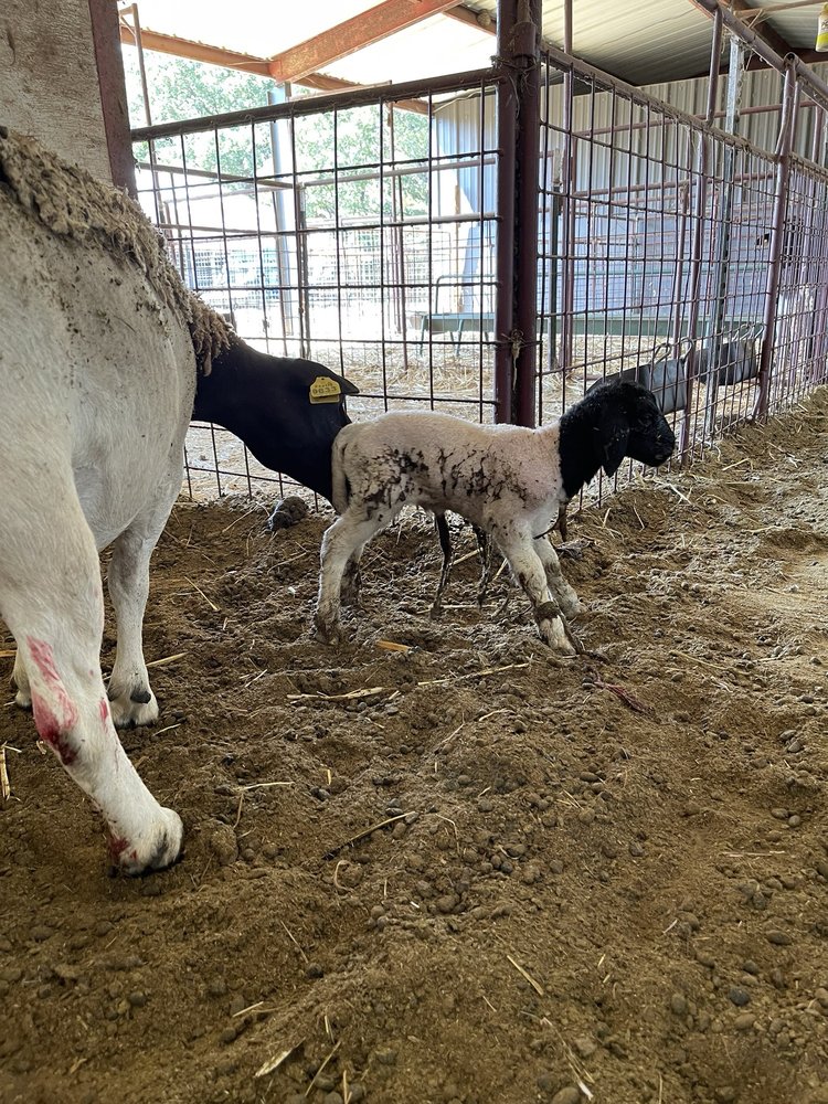 McElvey Road Skate Park