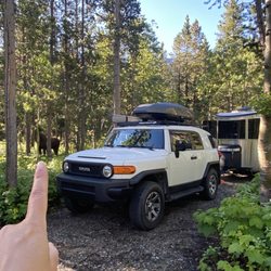 Many Glacier Campground - Moose in our campsite!