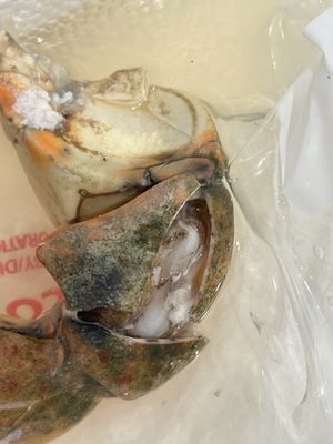 George Stone Crab by null