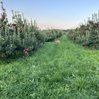 Masker Orchards - Fruits & Veggies Near Me - Warwick, New York