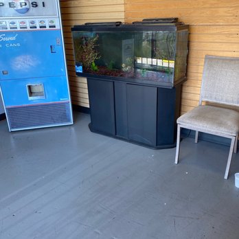 Aaron's Affordable Auto Repair - Fish tank - Auto Repair Near Me - Tucson, Arizona Aaron's Affordable Auto Repair - Fish tank - Auto Repair Near Me - Tucson, Arizona