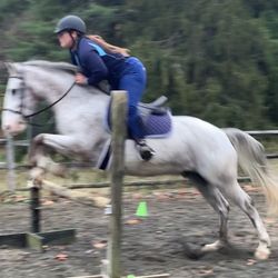 Riding in Redding - Jumping Ichabod, super talented pony!