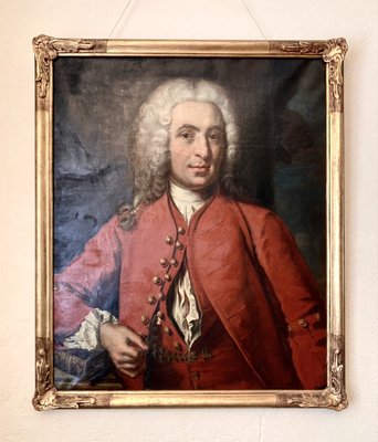 The Linnaeus Museum by null