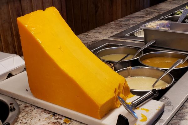 Schobels' Restaurant by null