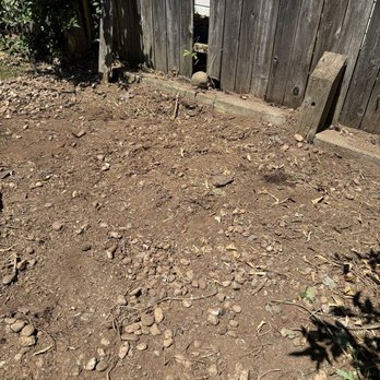 A J Tree Service - After: Area 1 cleared - Tree Services Near Me - Sacramento, California