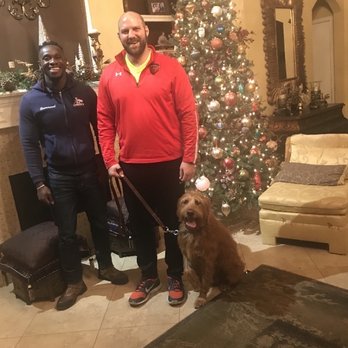 The K9 Professor - Pet Training Near Me