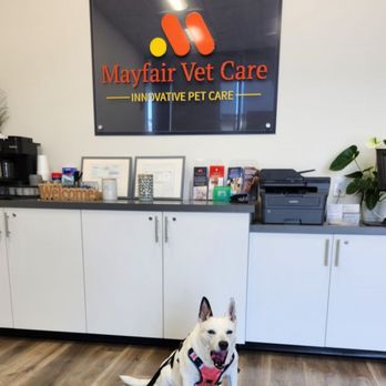 Mayfair Vet Care - The little waiting room. - Veterinarians Near Me - Dixon, California Mayfair Vet Care - The little waiting room. - Veterinarians Near Me - Dixon, California