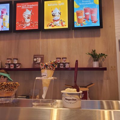 Häagen-Dazs Ice Cream River Landing by null