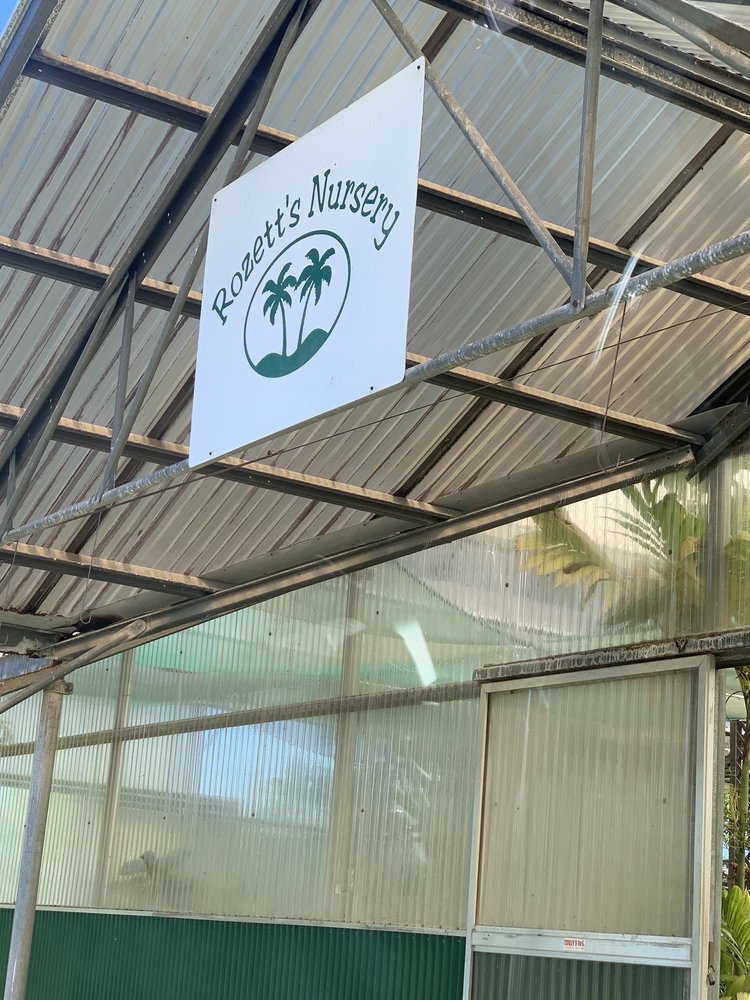 ROZETT’S NURSERY with 12 real customer photos Updated August 2024