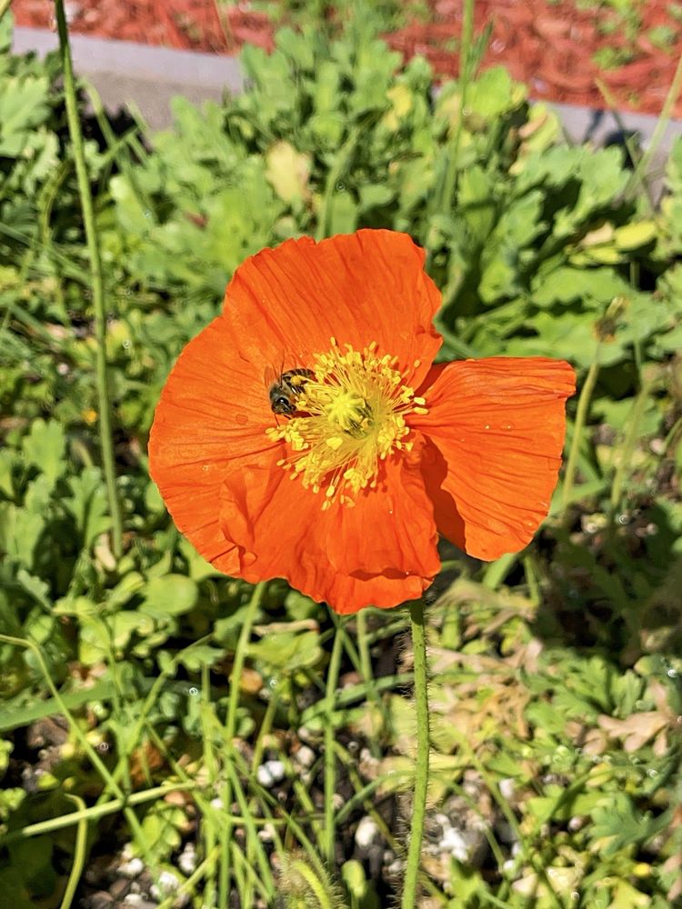 Taft Gardens & Nature Preserve